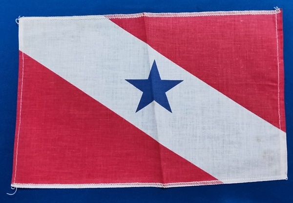 Arte . PARANÁ - BANDEIRA PEQUENA - 28 X 18 CM - ALGODÃO GOMADO foto 3