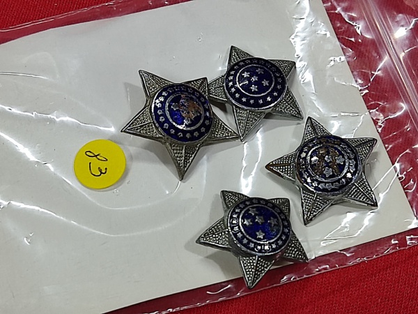 Arte . 74 - EXÉRCITO BRASILEIRO - INSIGNIAS DE POSTO - CORONEL foto 2