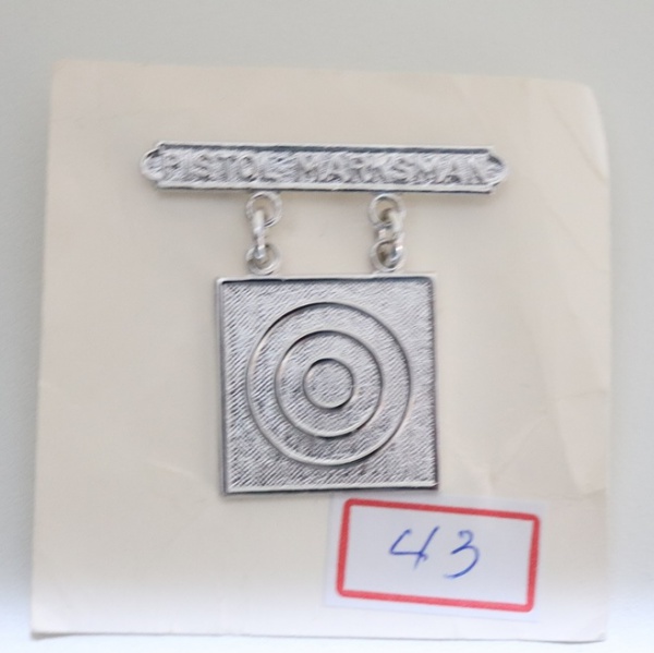 Arte . 55 - LOTE - BADGE - INSIGNIA - U.S. AIR FORCE - QUALIFI foto 7