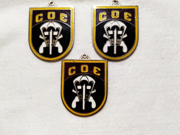 Arte . U.S. Army Marksmanship Qualification Badge, SHARPSHOOTE foto 3