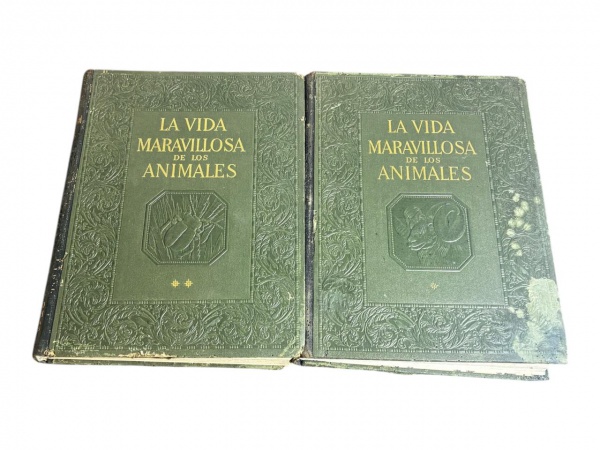 Joias . Os Lusíadas (1973); de Luís de Camões; editora Lello e foto 6
