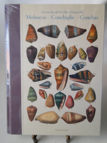 MOLUSCOS, CONCHIGLIE, CONCHAS - ANTOINE-JOSEPH DEZALLIER D'ARGENVILLE - TASCHEN - NOVO, LACRADO,