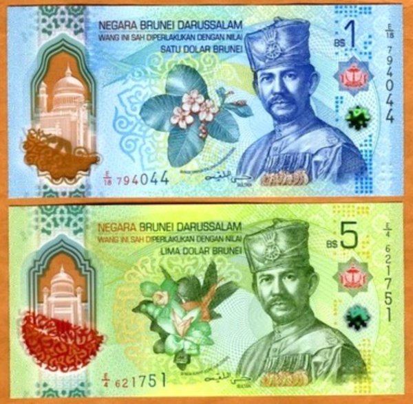 Joias . FIJI    20 DOLARES     2025/26    FE       POLÍMERO   ( foto 6