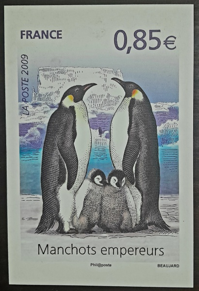 Joias . Álbum de Luxo para moedas, - República Portuguesa 1987 foto 8