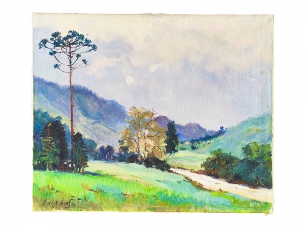 Arte . Pitágoras Lopes Gonçalves (nascido em Goiás, 1964), foto 6