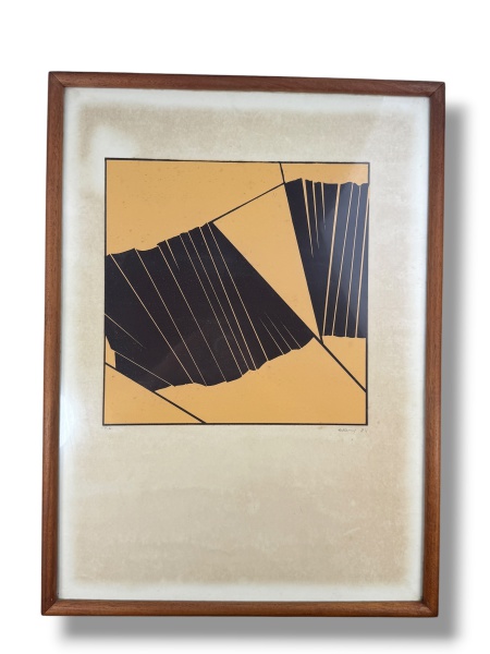 Arte . Pitágoras Lopes Gonçalves (nascido em Goiás, 1964), foto 4