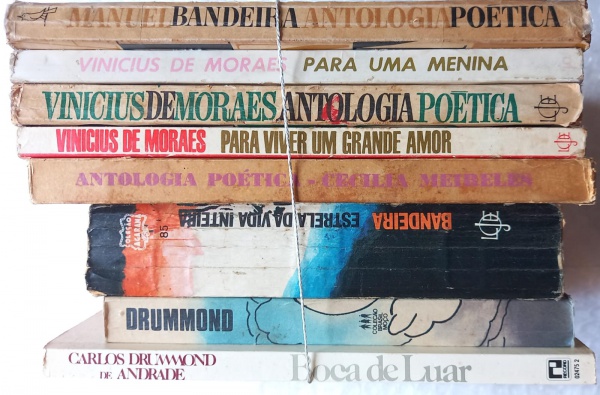 Joias . LOTE 7  LIVROS DE CHICO BUARQUE - - ESTORNO - BENJAMIM foto 1