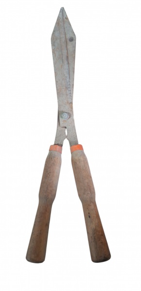 Tesoura de poda para cerca-viva antiga, também chamada de tosquiadeira manual ou tesourão de jardim. É uma ferramenta de jardinagem com lâminas longas e cabos de madeira, usada para aparar arbustos, c