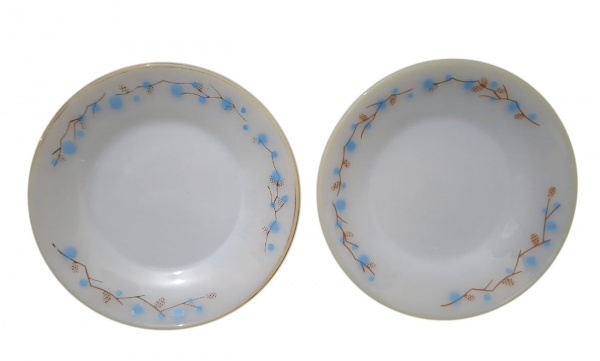 Par de pratos de sobremesa em opalina/termover, filete dourado, galho azul Diâmetro 18cm - Termo Rey.