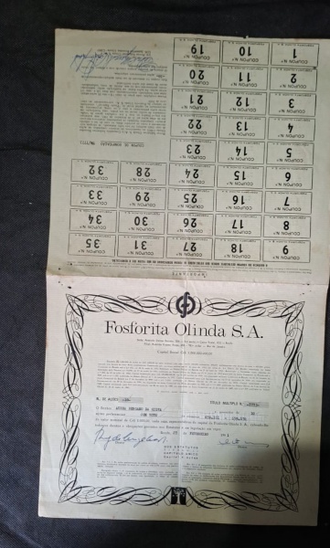 Título de ação da Fosforita Olinda S.A. - documento financeiro anos 80, de Recife/PE - Título Múltiplo de Ações - Fosforita Olinda S.A. - 27 de Fevereiro de 1981 - - Empresa: Fosforita Olinda S.A.- Se