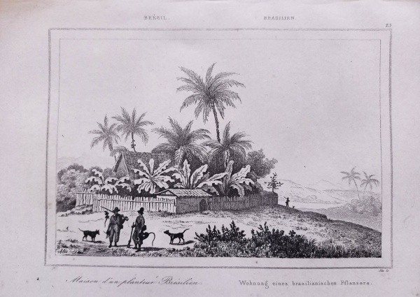 Arte . BRASIL - Gravura Original de Theodore de Bry intitulada foto 7