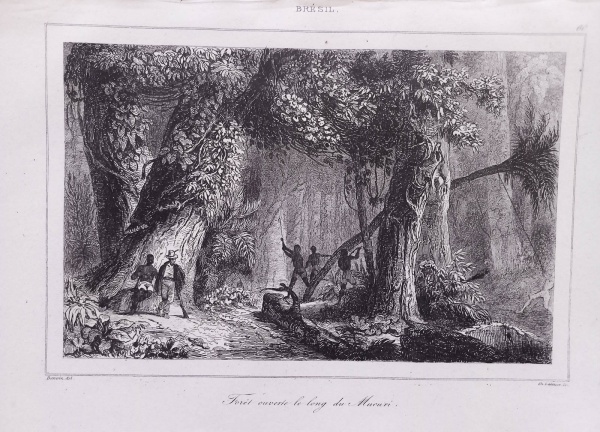 Arte . MINAS GERAIS - Gravura Original de Chaillot - Comboio d foto 1