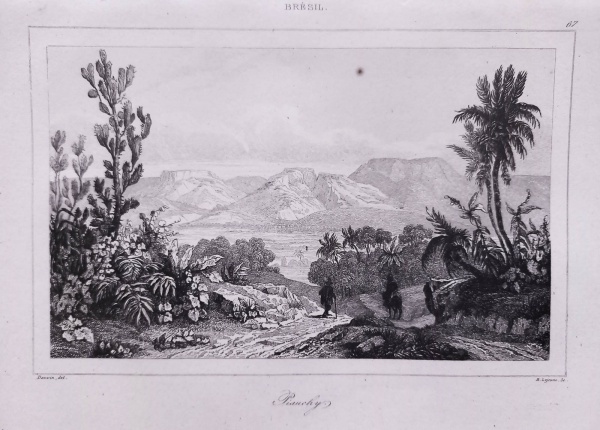 Arte . MINAS GERAIS - Gravura Original de Chaillot - Comboio d foto 2