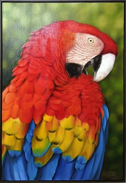 Arte . Luís Magalhães - 1956 -  Belíssimo quadro óleo sobre tela, ''Arara ...