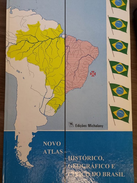 Arte . Chico Buarque - O Tempo e o Artista - bom exemplar, sin foto 6
