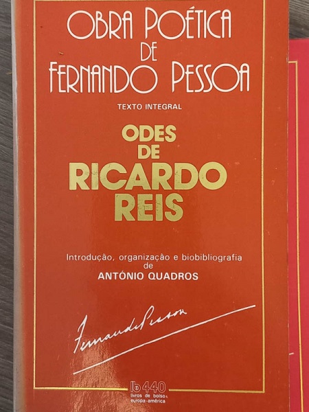 Arte . Leila Leite - Os Filhos da Terra do Sol - bom exemplar, foto 5
