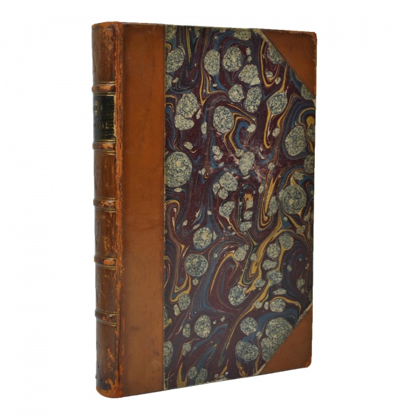 Arte . James W. Wells. Exploring and Travelling Three Thousand foto 8