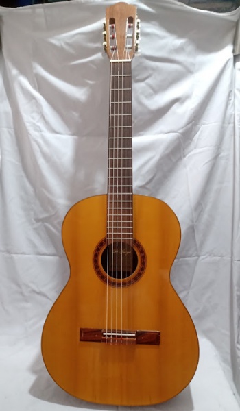 Joias . Guitarra T. Johnson EVH-008 (também referenciada como E foto 3