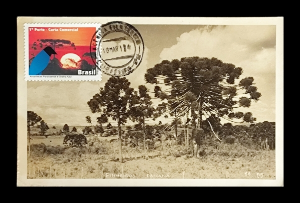 Joias . Máximo Postal tema Amanhecer Paranaense e Gralha Azul, dentado, com carimbo ...
