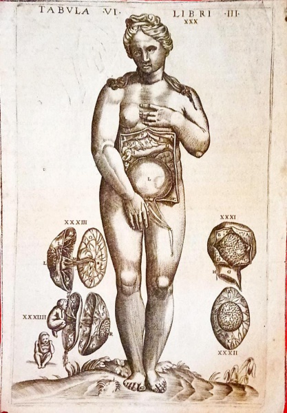 Joias . Giovanni Valverde - Anatomia del corpo humano nuovamente ristampata e con ...