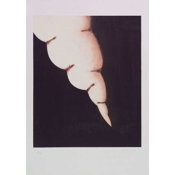 Joias . Daniel Senise. Litografia. Medidas 1.00 x 70. Assinado, datado (1993). Ecoarte ...