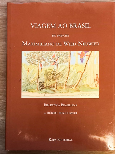 Arte . Rogério de Campos - O Nascimento das Histórias em Quadr foto 7