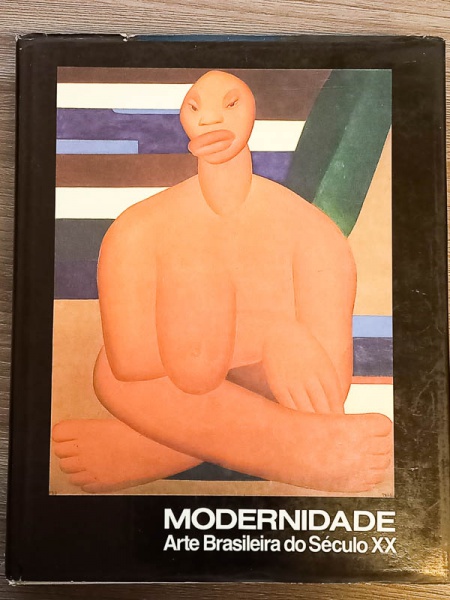 Arte . Rogério de Campos - O Nascimento das Histórias em Quadr foto 8