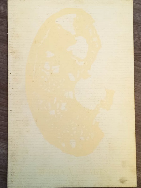 Arte . 20º Bienal de São Paulo - 1989 - 2 Volumes - Catálogo G foto 3