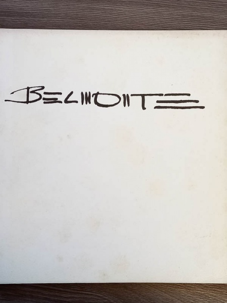 Arte . 20º Bienal de São Paulo - 1989 - 2 Volumes - Catálogo G foto 6