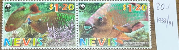 Joias . CAPA foto 5