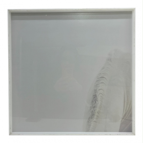 Caixa acrílica branca. Etiqueta de identificação no verso. Medindo 48 x 48 cm (caixa).