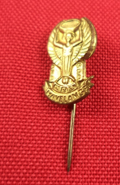 Arte . Medalha comemorativa alemã de 1997, emitida especificam foto 8