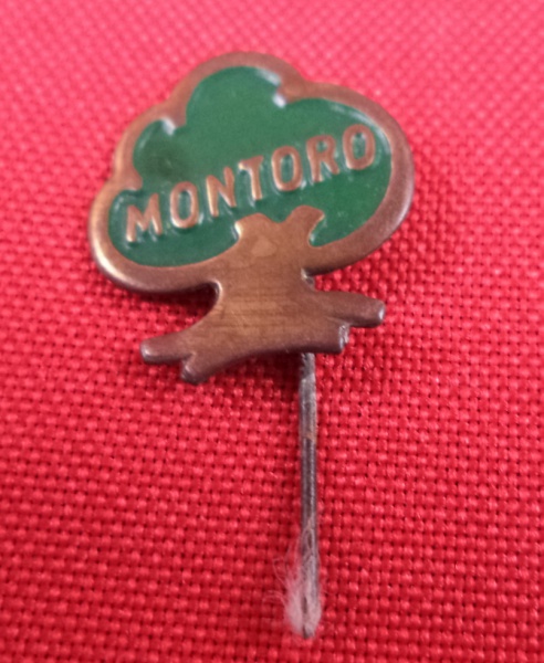Arte . Alfinete de lapela político (pin) da histórica campanha foto 4
