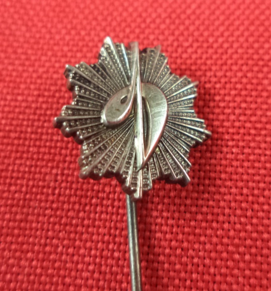 Arte . Antigo broche de lapela (ou pin) de campanha política d foto 4