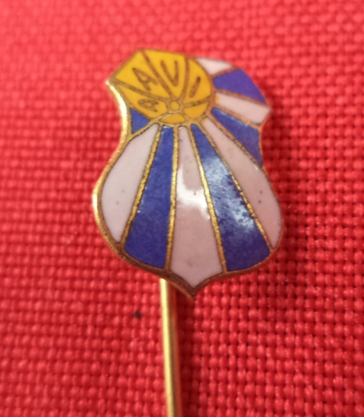 Arte . Antigo broche de lapela (ou pin) de campanha política d foto 8
