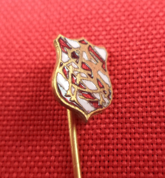Arte . Antigo pin/alfinete de lapela da "Vassourinha", foto 8