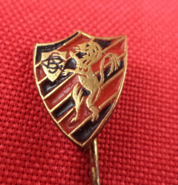 Arte . Broche de lapela  comemorativo 4º Centenário de São Pau foto 7