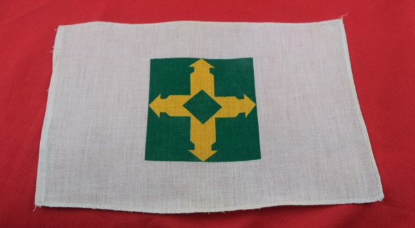 Arte . Bandeira  do Estado do Mato Grosso, vintage, confeccion foto 4