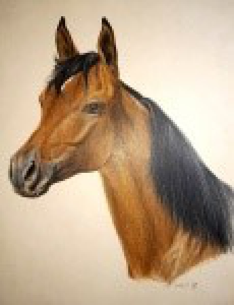 Arte . EMILIANO DI CAVALCANTI, MULATA, ÓLEO SOBRE TELA 45 X 33 foto 3