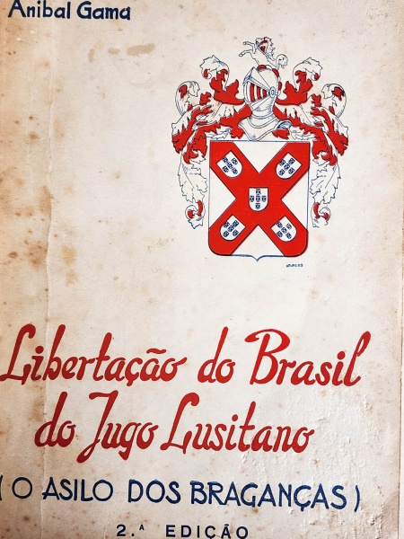 Arte . Arthur Vieira de Rezende - O Municipio de Cataguazes, E foto 7