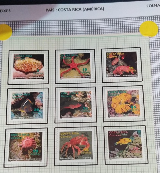Joias . SELOS DO BRASIL - REGULARES - NETINHA - RHM 367 - MINT foto 8