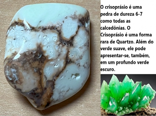 Joias . ABALONE GIGANTE 15 CM - ORIGEM MÉXICO - PEÇA BÉLISSIMA foto 6