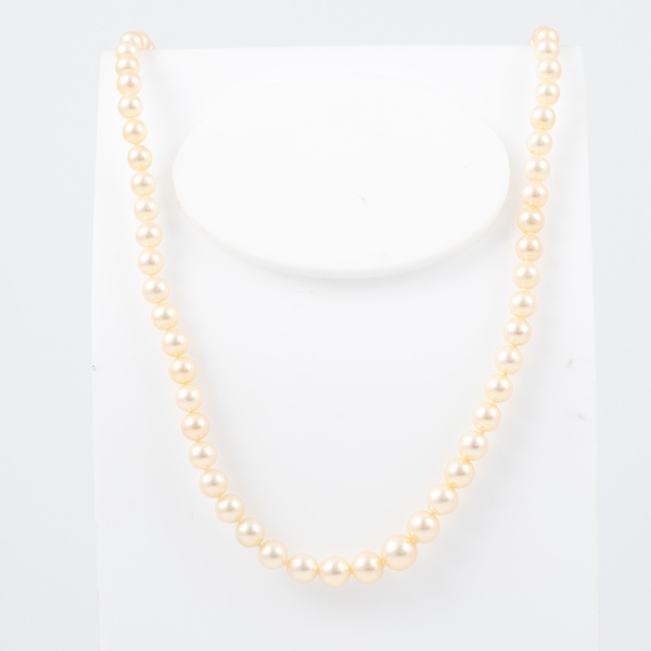 Colar de pérolas com fecho de ouro / Tam: 48cm
