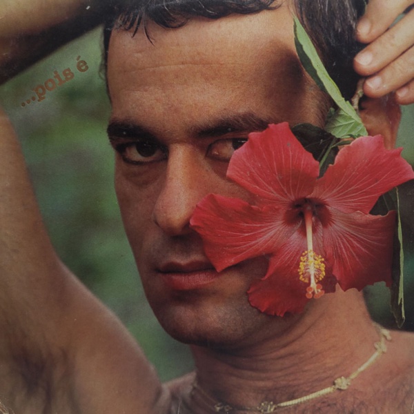 Joias . Disco de vinil: Ney Matogrosso - Pois é. Produto original. Gravadora Barclay. ...