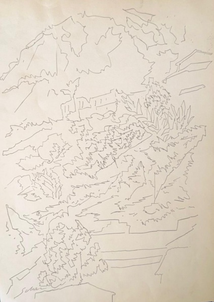 Arte . BURLE MARX, Roberto Burle Marx (São Paulo,1909 Rio de J foto 1