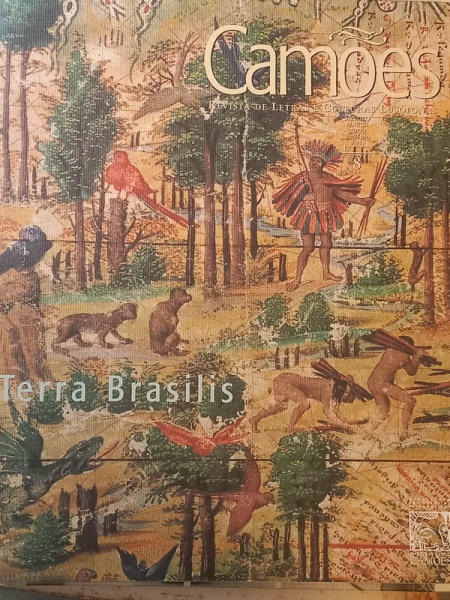 Arte . Clichês Brasileiros - bom exemplar, sinal de acidificaç foto 5