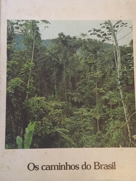 Arte . Campinas, Município no Império - bom exemplar, sinal de foto 4