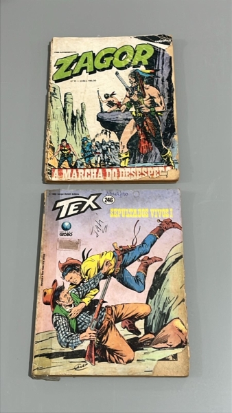 Lote 2 HQs Tex e Zagor - Editora Globo e Rio Gráfica. Lote com 2 edições clássicas de faroeste, publicadas em formato 18x13,5cm. O conjunto inclui os títulos: `A Marcha do Desespero` (Zagor Nº 6, Rio