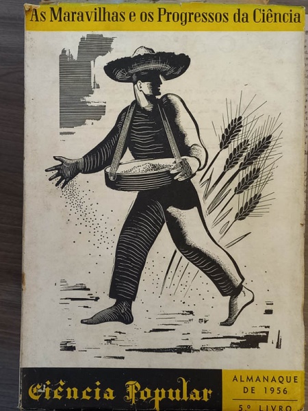 Arte . Nova História em Perspectiva - bom exemplar, sinal de a foto 6