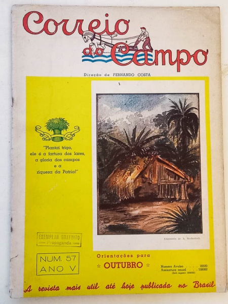 Arte . Revista Tempo e Memória - São Paulo 2003/2006 - 1a. ed. foto 7